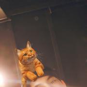 ����